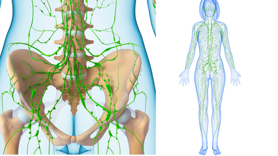 Why You Need To See A Lymphatic Therapist